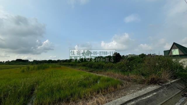新港農地-5