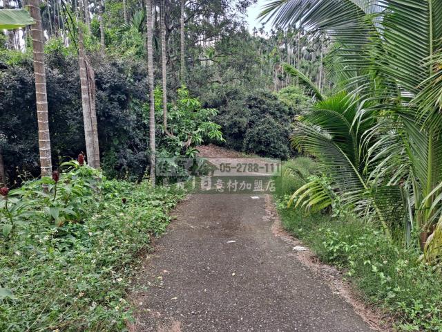 嘉義梅山農地-11