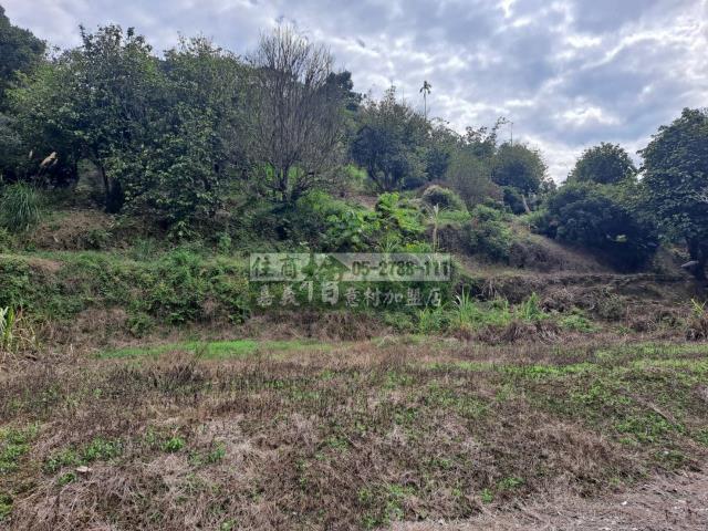 竹崎農地-9