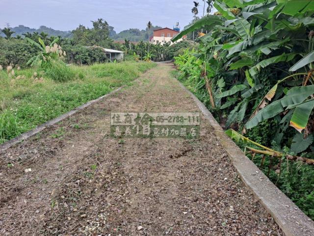 竹崎農地-10