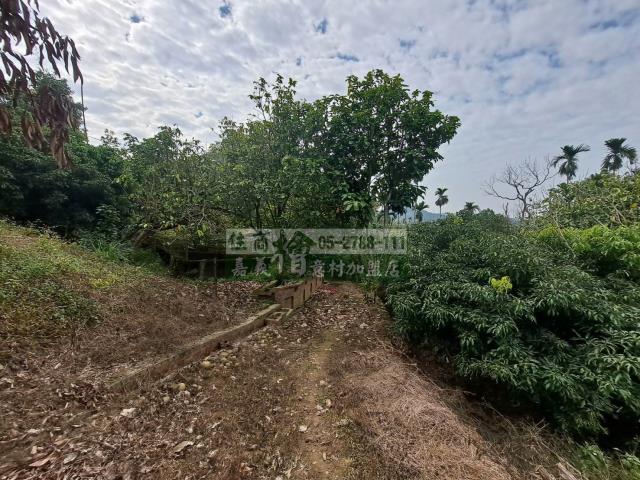 竹崎農地-4