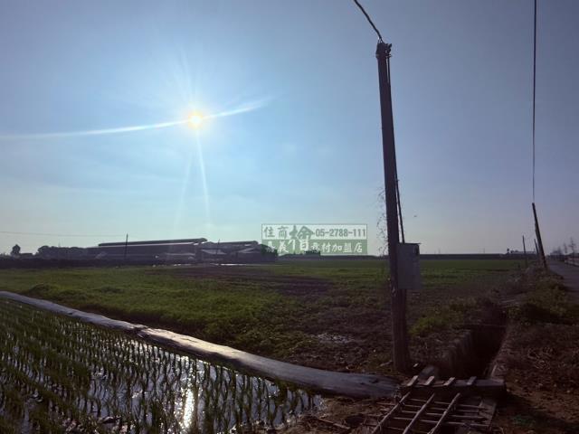 朴子農地-2