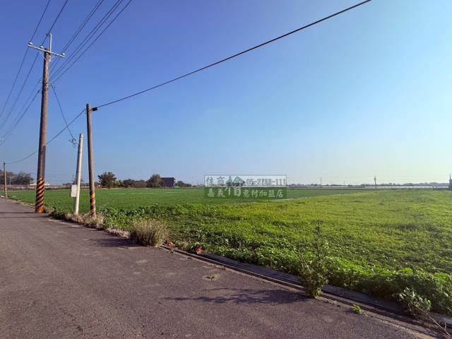 朴子農地-5