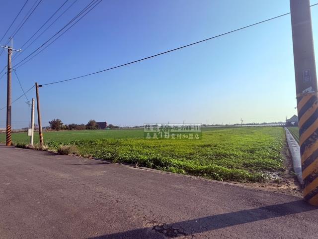 朴子農地-6