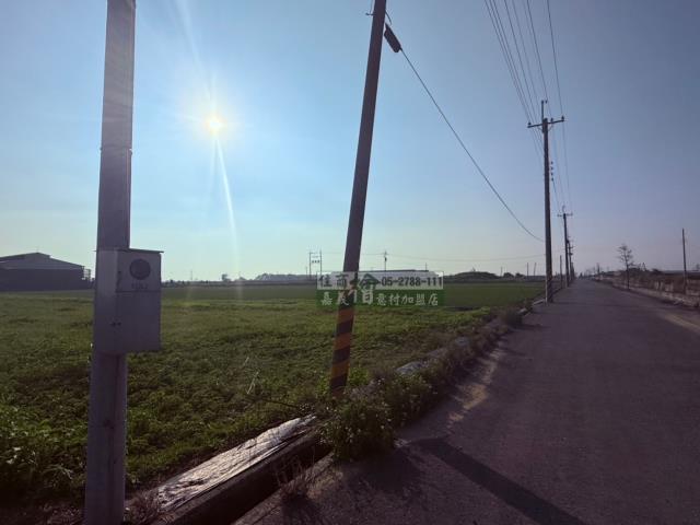 朴子農地-7