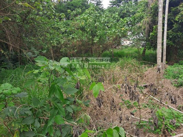 嘉義西區農地-2