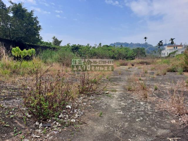 嘉義梅山農地-0