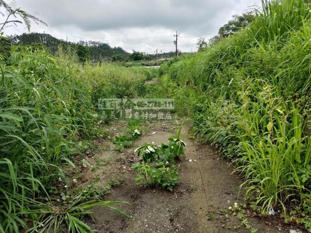 中埔農地-2