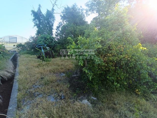 嘉義農地-10