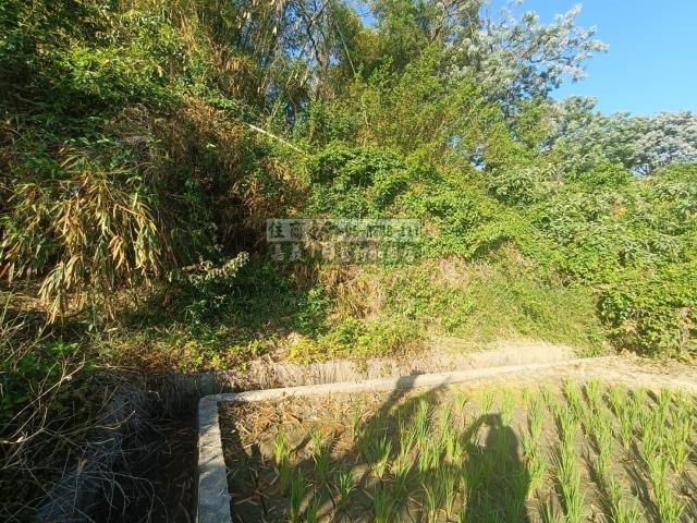 嘉義農地-3