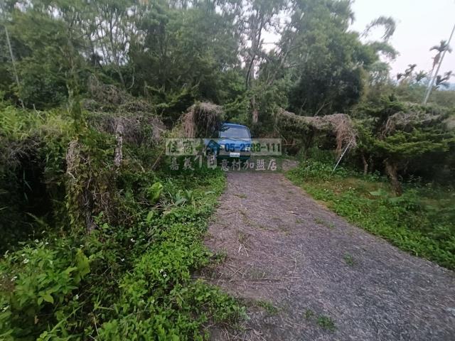 嘉義中埔農地-1