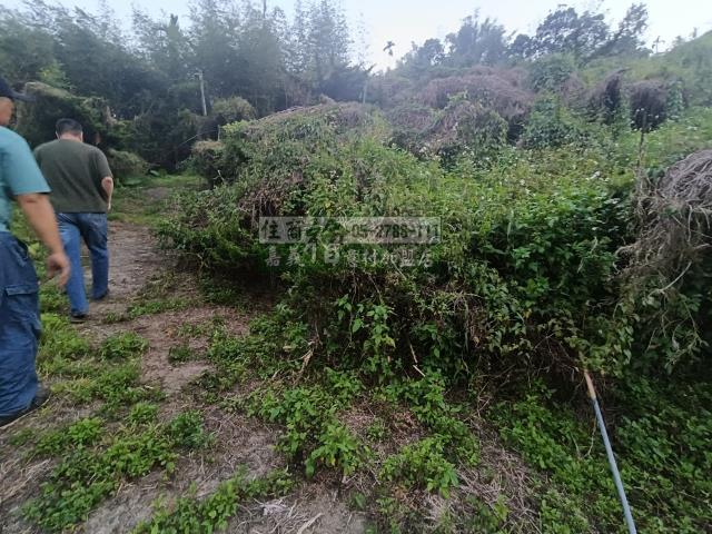 嘉義中埔農地-2