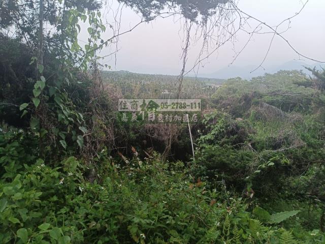 嘉義中埔農地-4