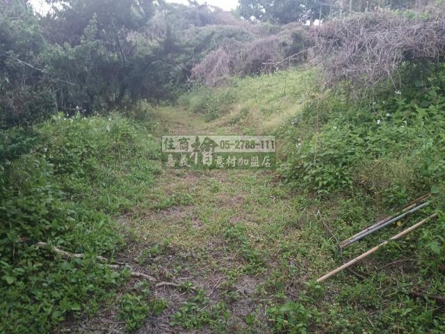 嘉義中埔農地-5