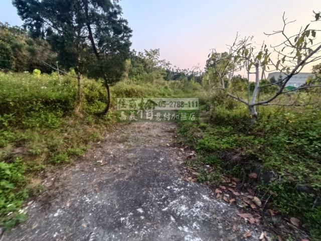 嘉義中埔農地-10