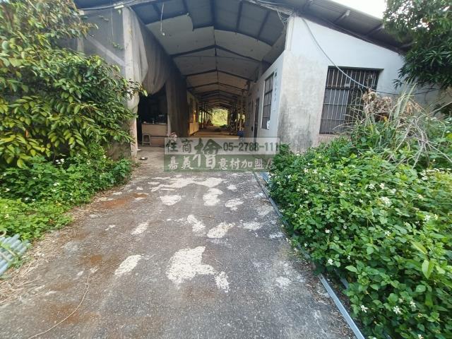 嘉義中埔農地-3