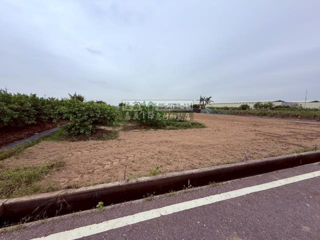 嘉義新港農地-5