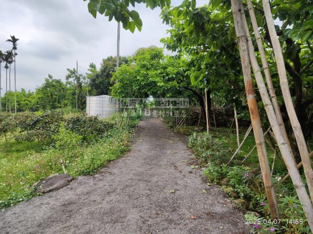番路農地-3