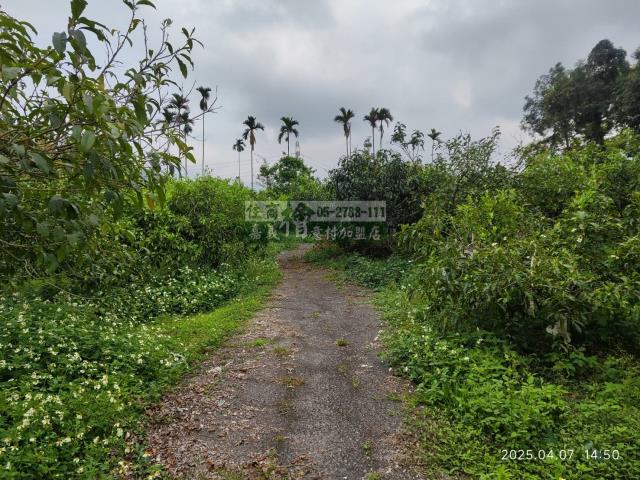 番路農地-4