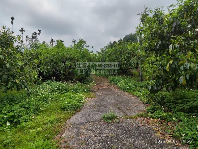 番路農地-5
