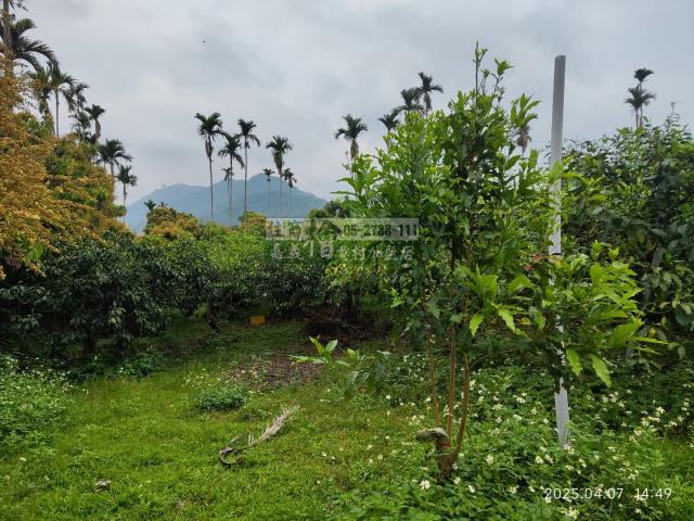 番路農地-8