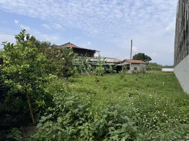水上建地-3