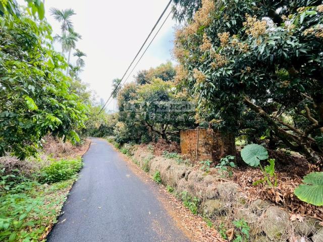 竹崎農地-9