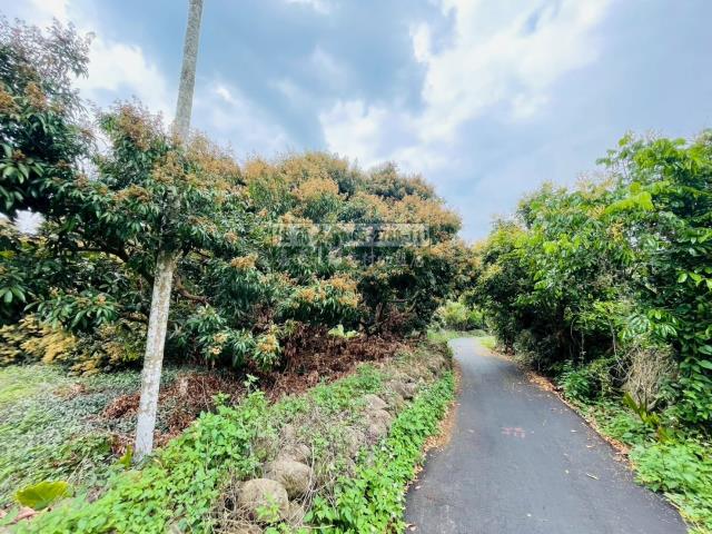 竹崎農地-6