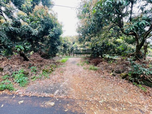 竹崎農地-8