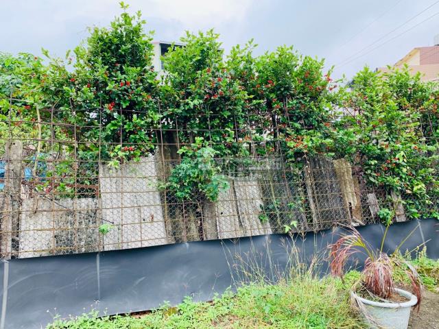 水上建地-4