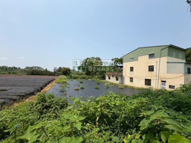 東區農地-9