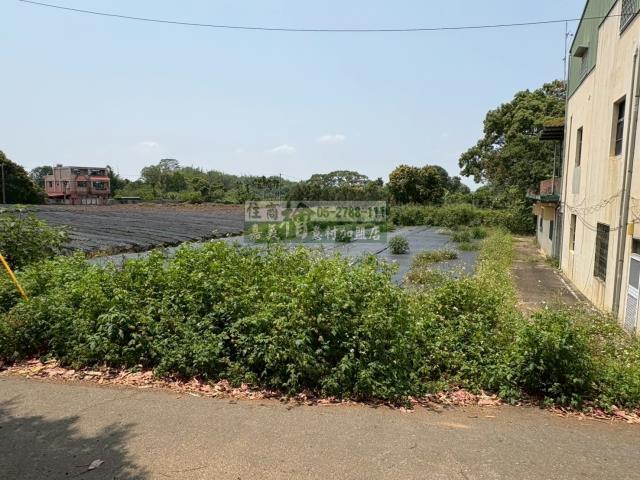 東區農地-11