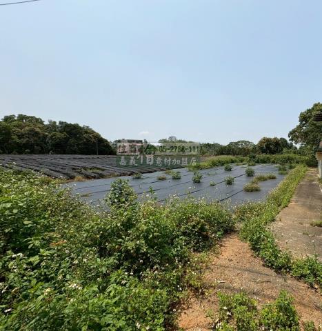 東區建地-1