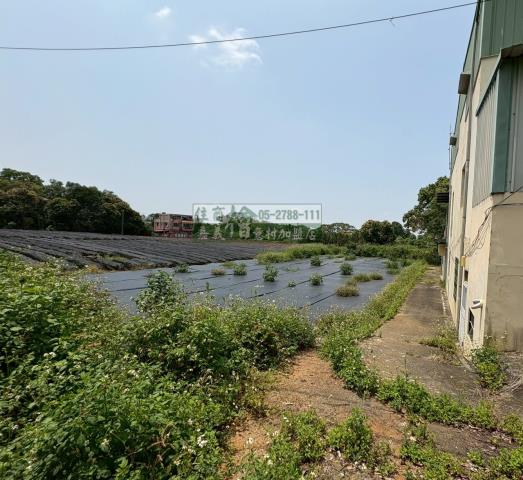 東區建地-6