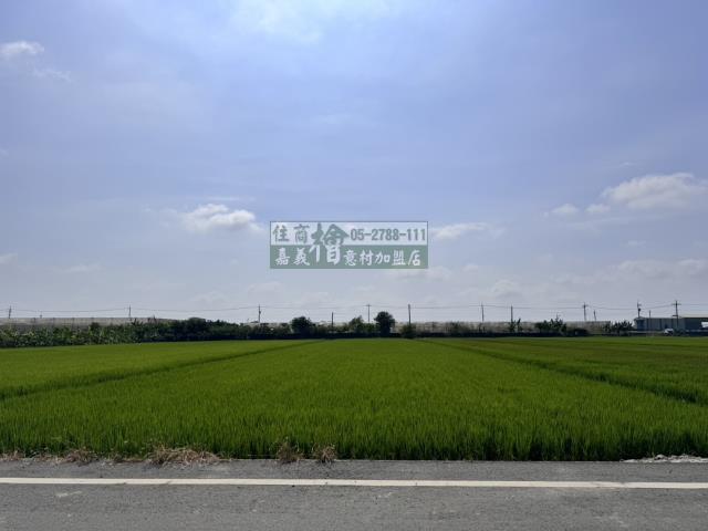 嘉義水上農地-12