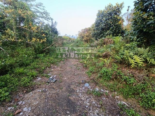 嘉義中埔農地-3