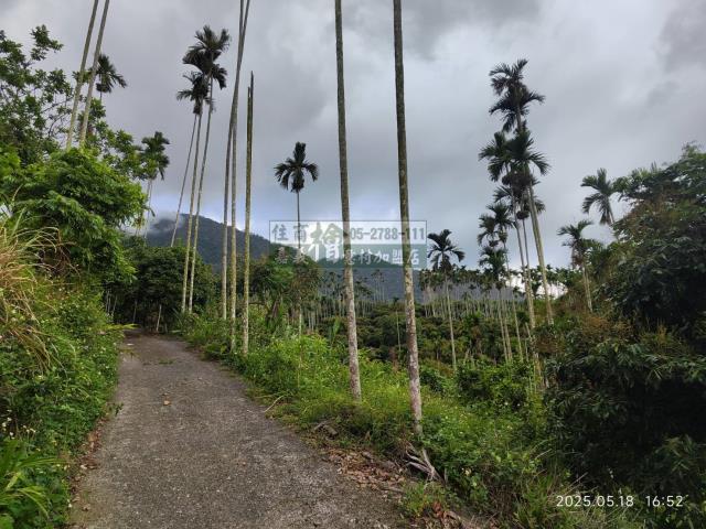 竹崎農地-1