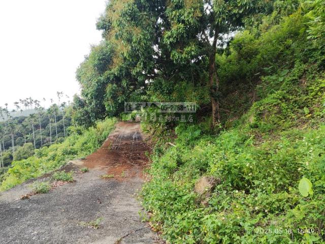 竹崎農地-4