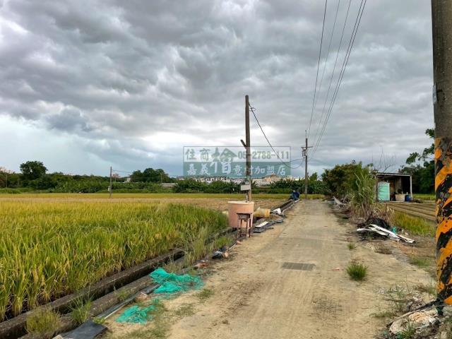 西區農地-6