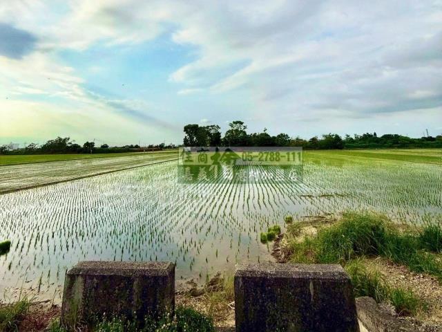 嘉義民雄農地-1