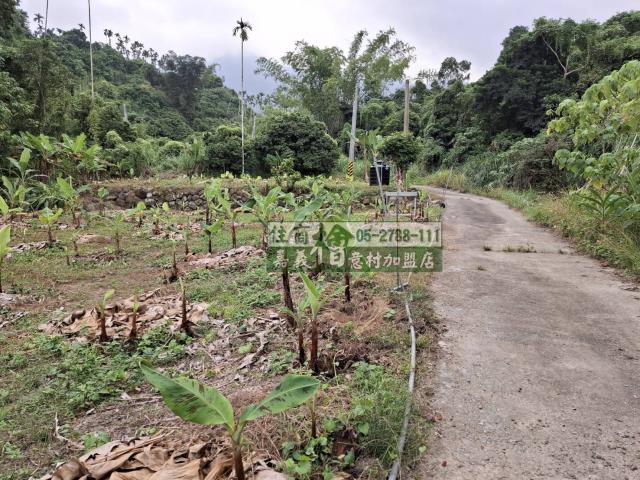 嘉義竹崎農地-2