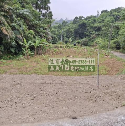 嘉義竹崎農地-4