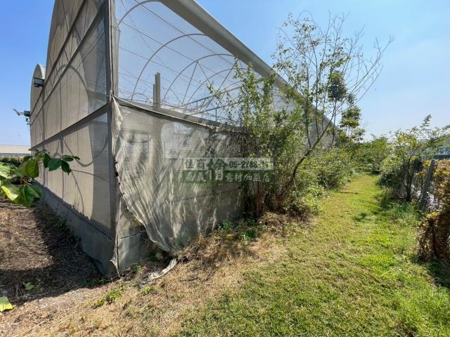 嘉義民雄農地-5