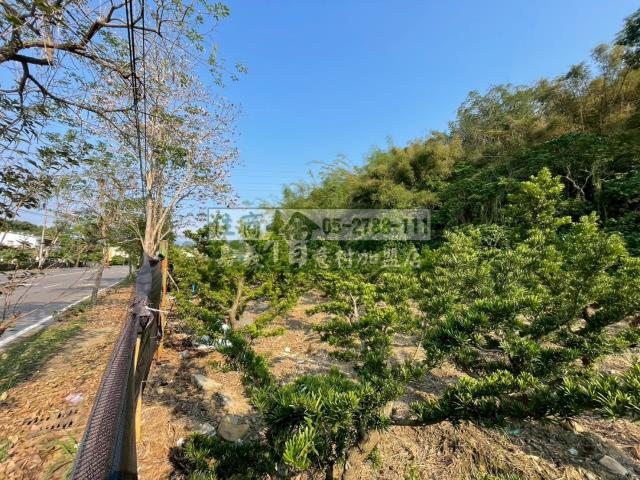 嘉義竹崎農地-0