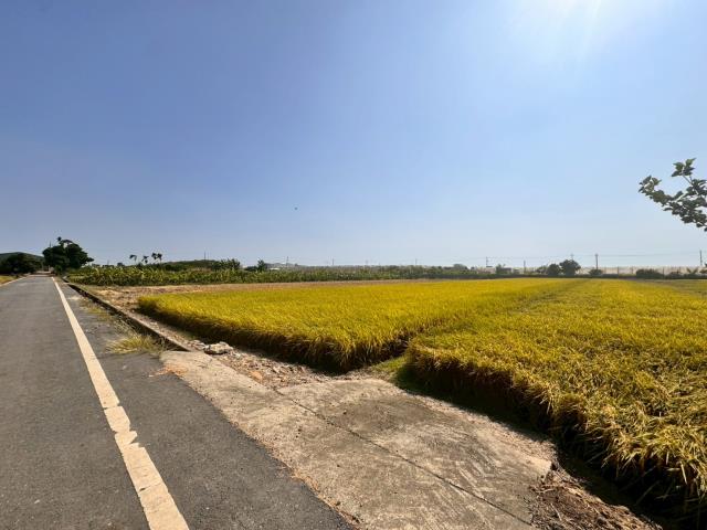 嘉義農地-11