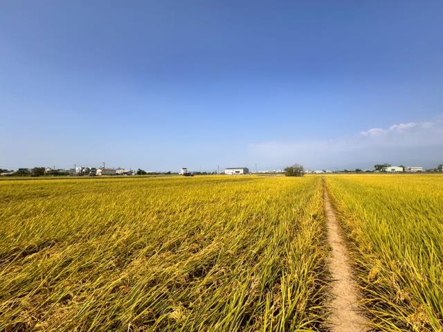嘉義農地-3