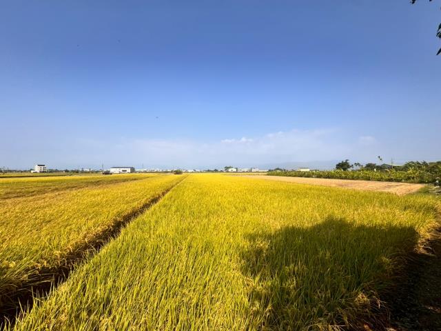 嘉義農地-5