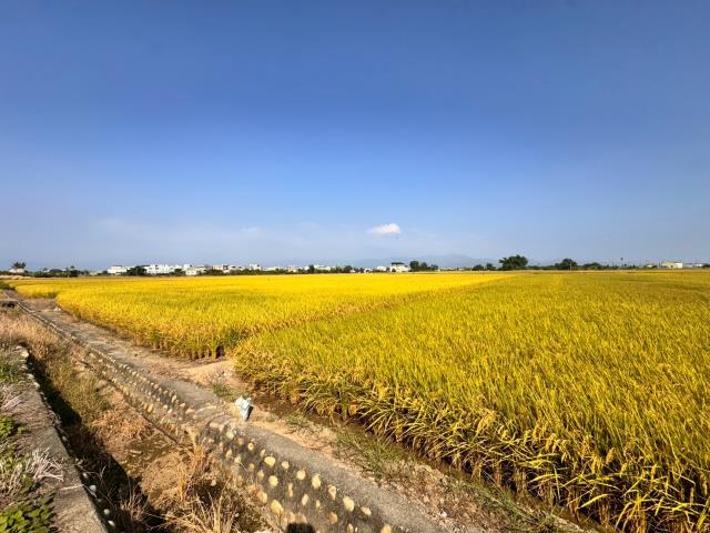 嘉義農地-0