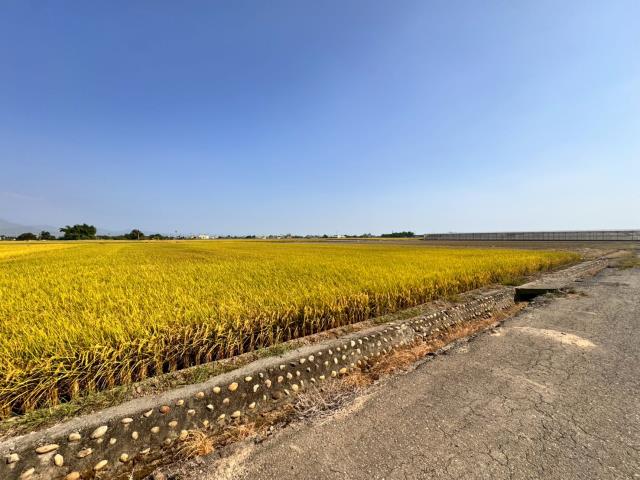 嘉義農地-1