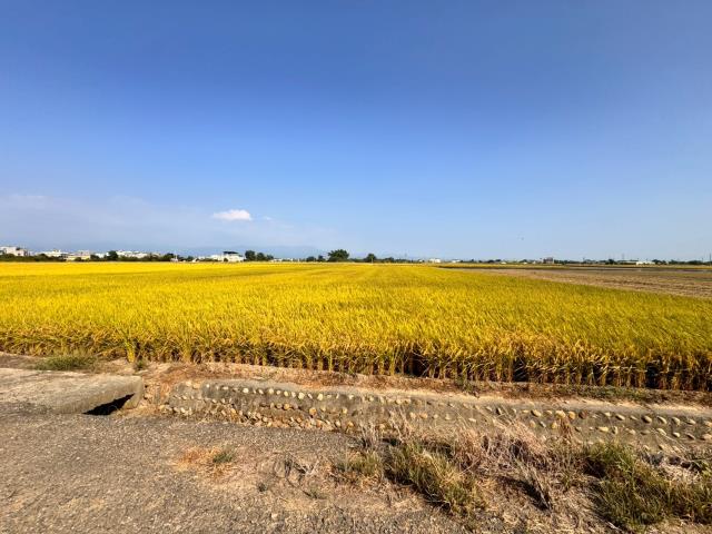 嘉義農地-2